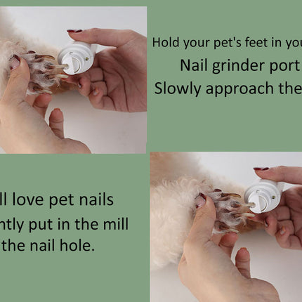 Instructions for using a pet nail grinder with text overlay on a green background