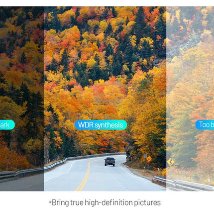 Comparison of a road through a forest with different color balance labels.
