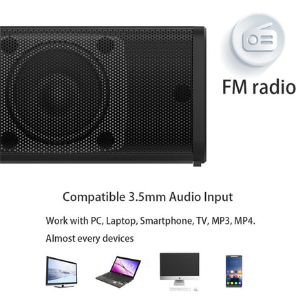 Black speaker with FM radio and audio input compatibility on a white background