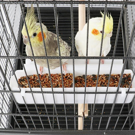 Two cockatiels in a birdcage with food on a white background