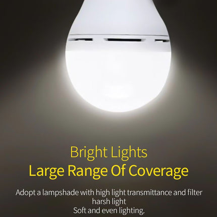 Solar Lights | NZ Sale