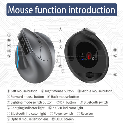 Diagram of a mouse with labeled parts on a white background