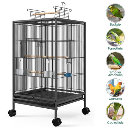 Large bird cage with wheels on a white background, featuring images of different types of birds.