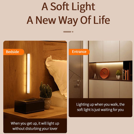 LED Lights