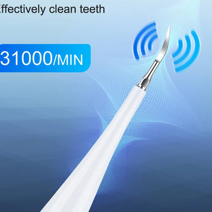 Rechargeable Sonic Electric Toothbrush