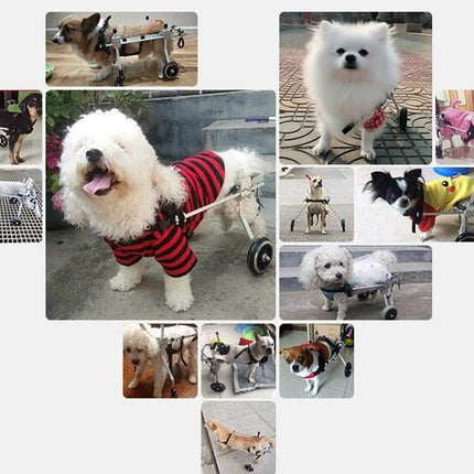 Collage of dogs using various types of pet strollers and wheelchairs.