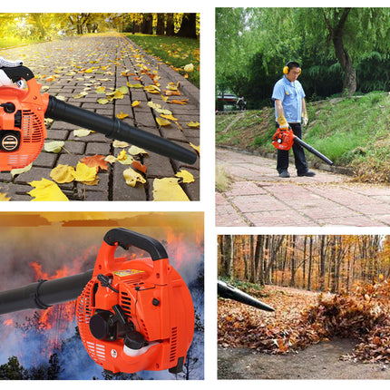Collage of a leaf blower in use, with leaves on a path and in a forest.