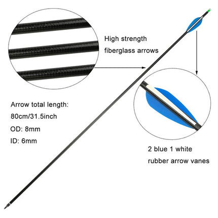 High-strength fiberglass arrow with blue and white rubber vanes, detailed specifications on a white background.