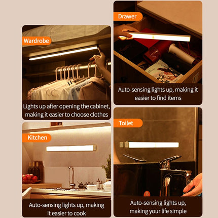 LED Lights