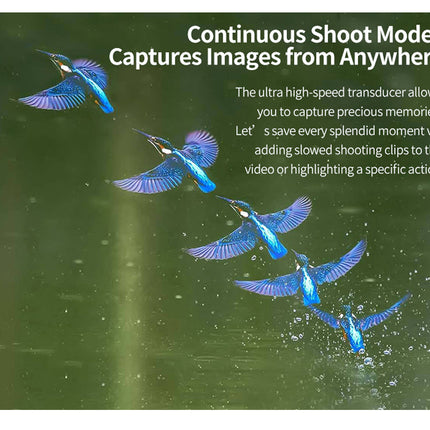 Birds flying with promotional text about continuous shoot mode and high-speed transducer on a green background.