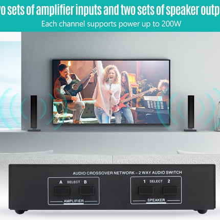 Audio crossover network with amplifier and speaker inputs on a white background