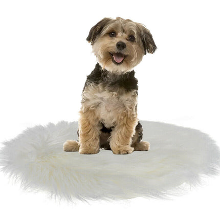 Pet Dog Heating Pad | NZ Sale