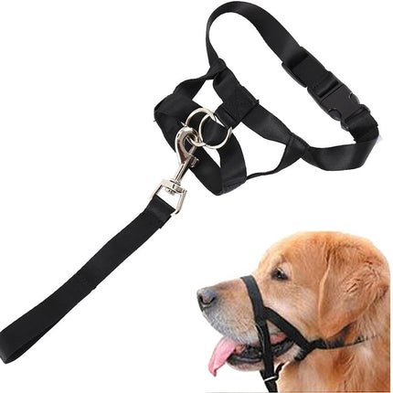 Dog wearing a black muzzle and harness on a white background