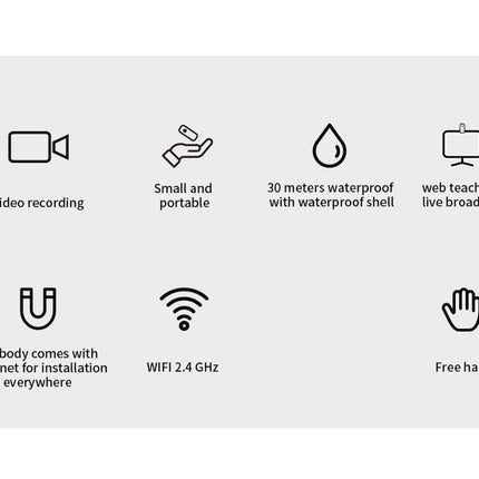 Set of icons and text describing features on a white background