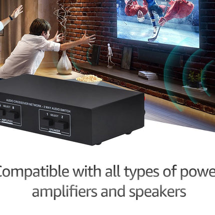 Audio crossover network switch with people watching TV in the background