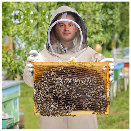 Person in a beekeeping suit holding a honeycomb with bees outdoors.