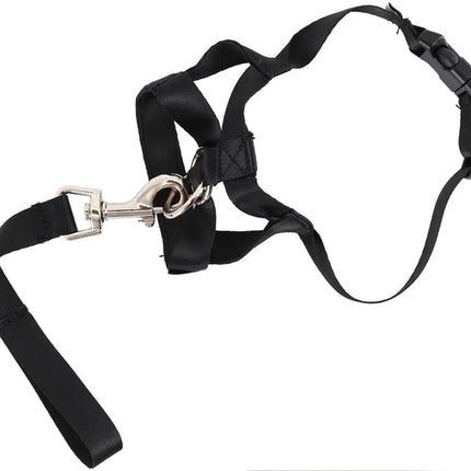 Black dog harness and leash set on a white background