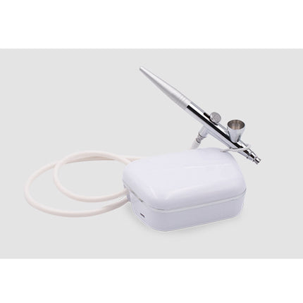 Airbrush and its carrying case on a white background