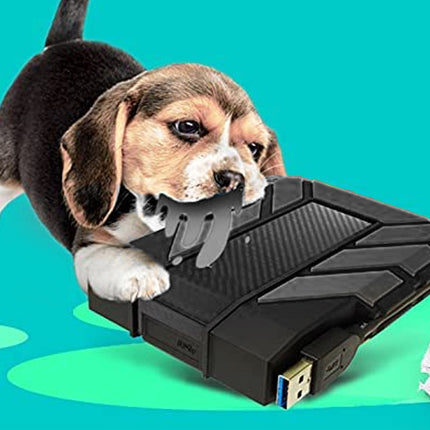 Puppy playing with a black external hard drive on a teal background