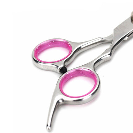 Dog Grooming Kit | NZ Sale