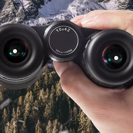 Hand holding a pair of black binoculars with a mountainous landscape in the background