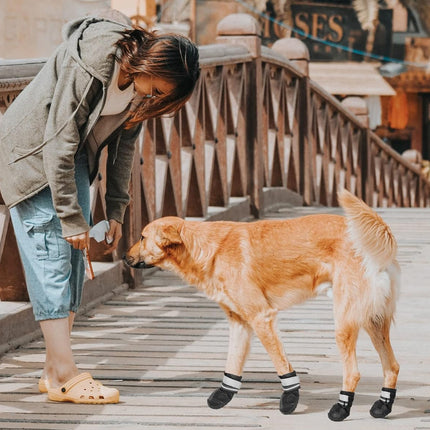 Dog Shoes | NZ Sale