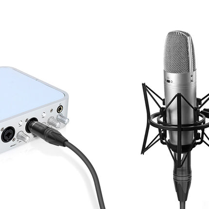 XLR Cable