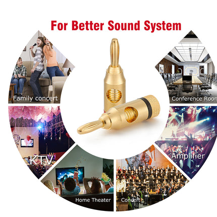Gold audio connector with images of various settings like family concert, conference room, KTV, home theater, and concert.