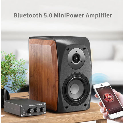 Bluetooth 5.0 mini power amplifier with wooden finish and smartphone app control on a neutral background