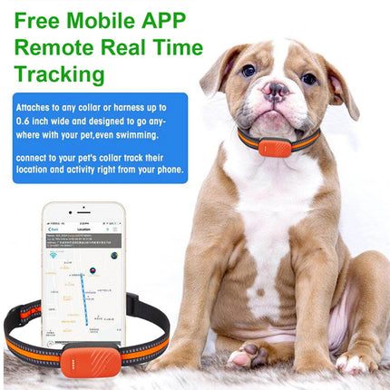 Dog wearing a pet tracking collar with a smartphone app displayed, on a white background.