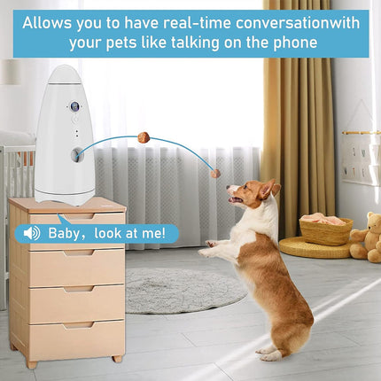 Pet communication device with a dog looking at it in a room.