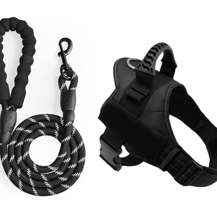 Black dog leash and harness set on a white background