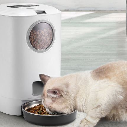 Cat eating from a bowl next to an automatic pet feeder.