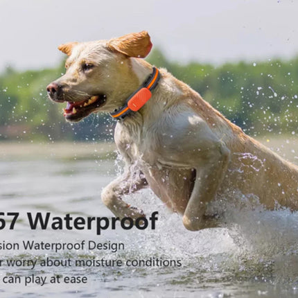 Dog running in water with an IP67 waterproof design label