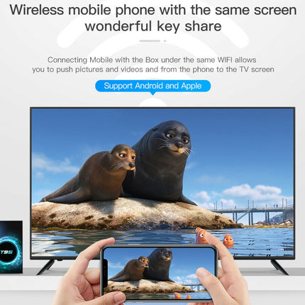 A promotional graphic for a wireless mobile phone display box. It shows a TV screen displaying a seal scene, with a hand holding a smartphone in front of the TV showing the same image.