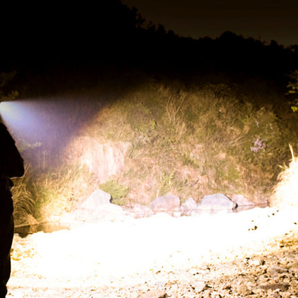 Person holding a flashlight in a dark forest setting