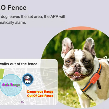 Dog wearing a GPS tracker with a map showing geo-fence functionality.