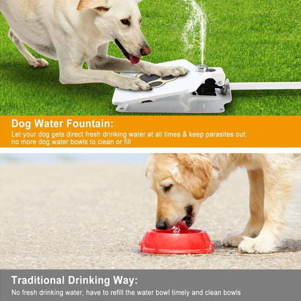 A promotional comparison graphic for a dog water fountain. The top panel shows a white dog fountain spraying water on green grass while a white dog drinks from it.