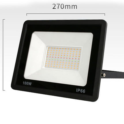 Flood Light LED | NZ Sale